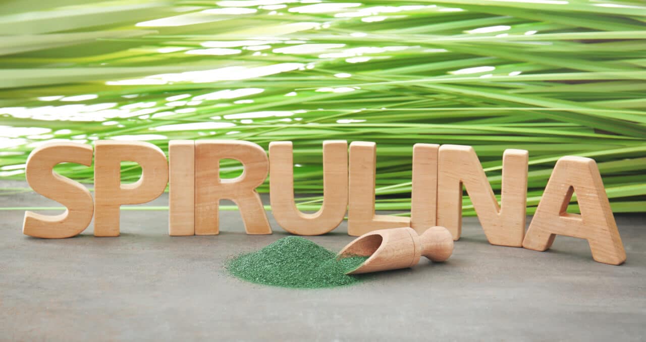 Bekentenis hoog In Spirulina - Darum ist das Superfood so gesund!